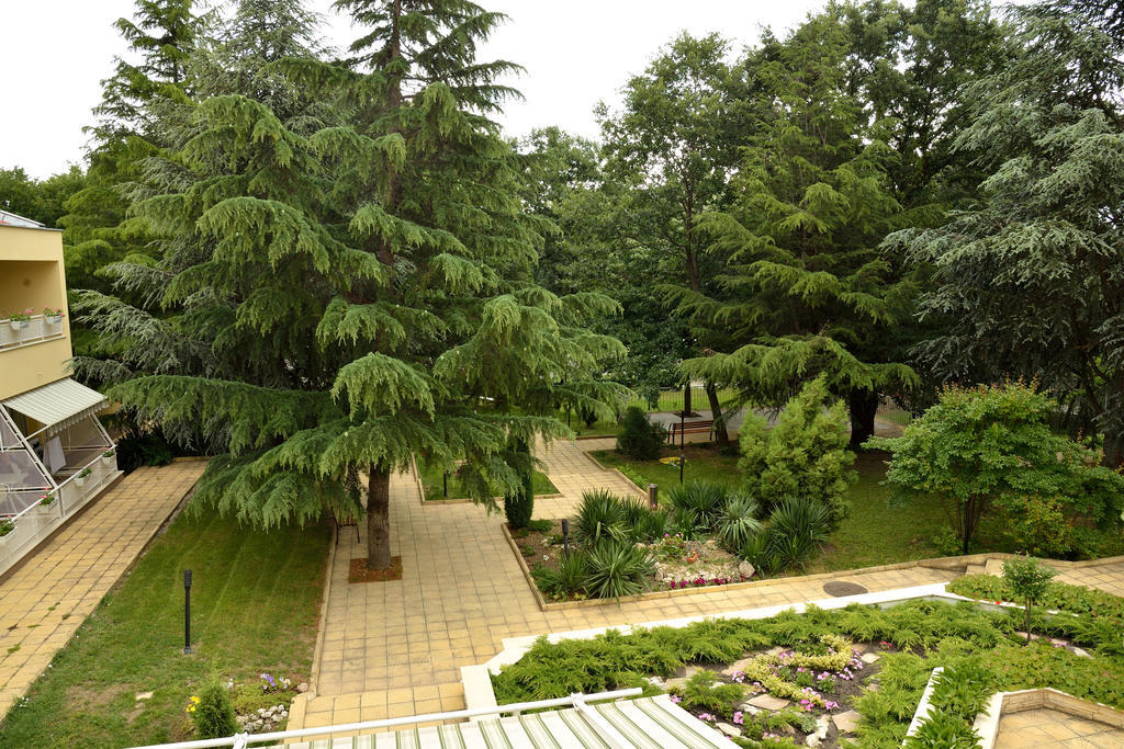 Glicinia Hotel Golden Sands Εξωτερικό φωτογραφία